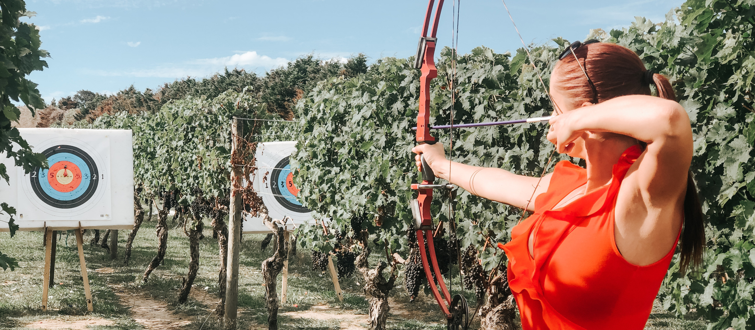 Archery in the vines